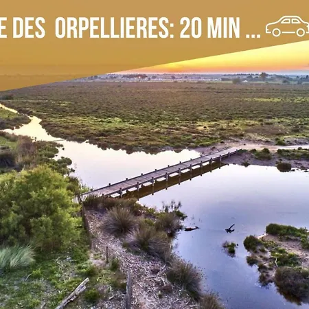 Centre Historique - Free Parking - Self Checkin - Wifi - La - Sleepntripbeziers Apartament