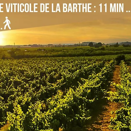 Centre Historique - Free Parking - Self Checkin - Wifi - La - Sleepntripbeziers Apartmán Béziers